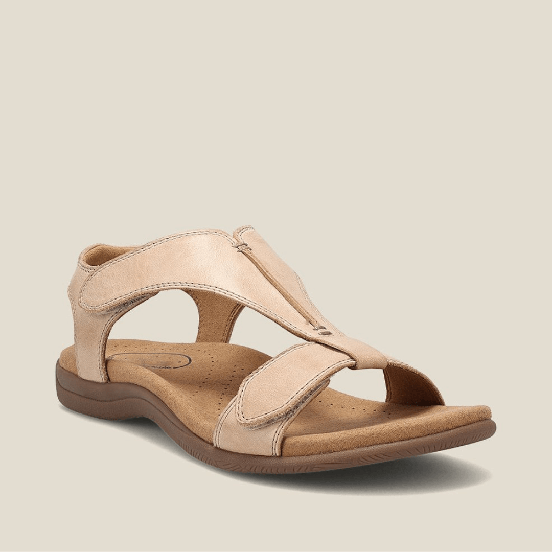 Beige / 35